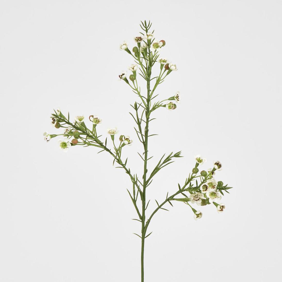 Wax Flower Cream 64cm