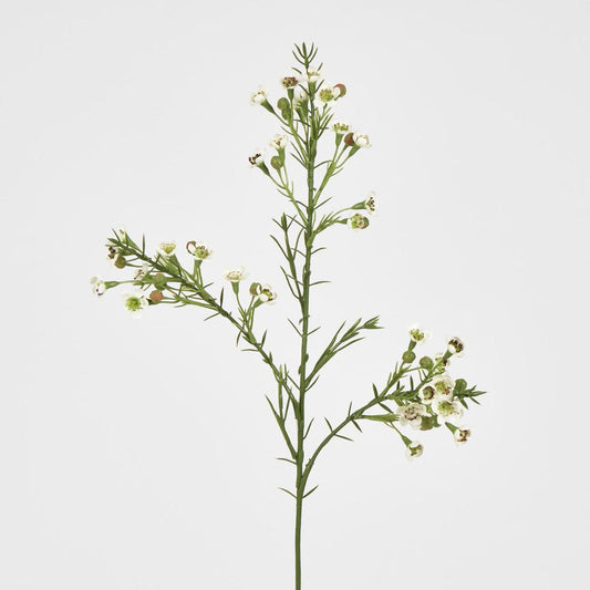 Wax Flower Cream 64cm