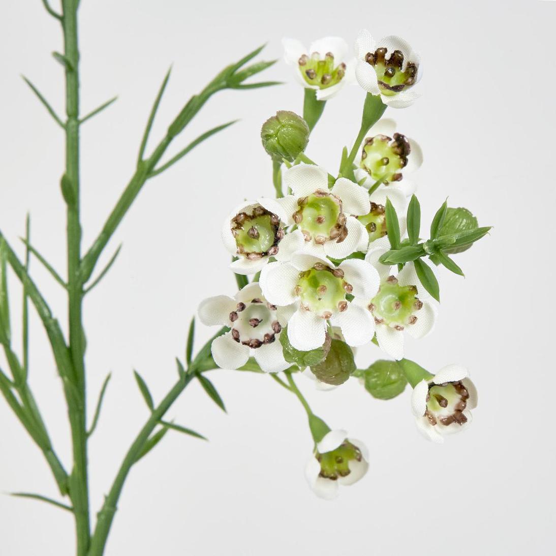 Wax Flower Cream 64cm