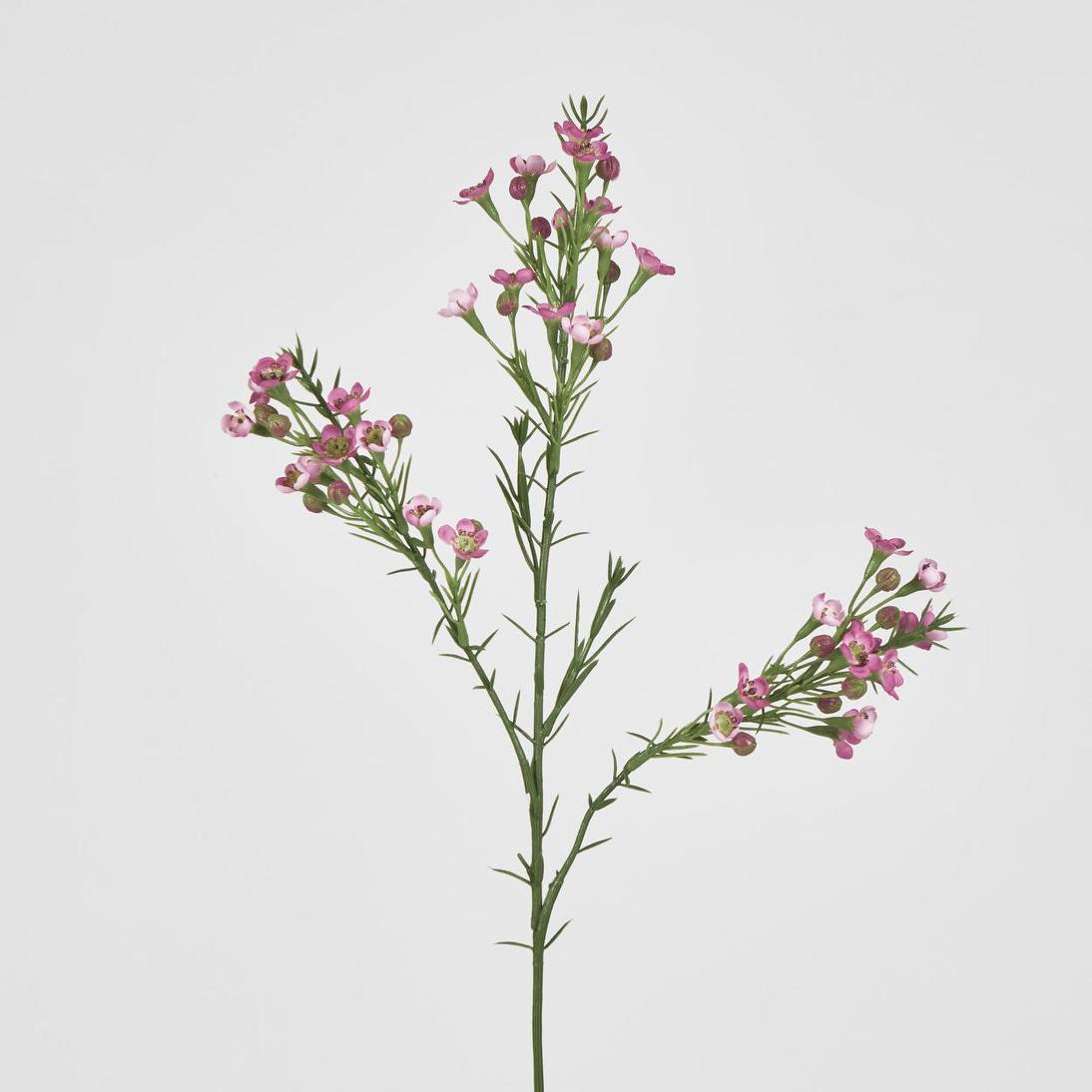 Wax Flower Dark Pink 64cm