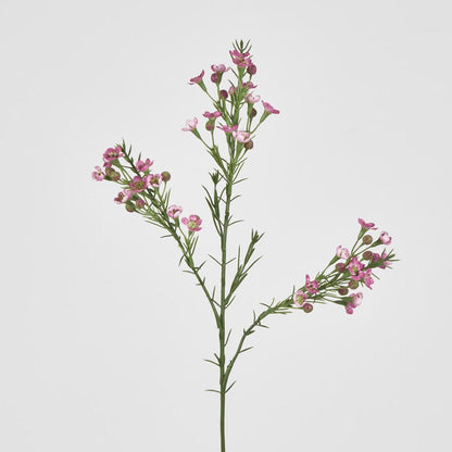 Wax Flower Dark Pink 64cm