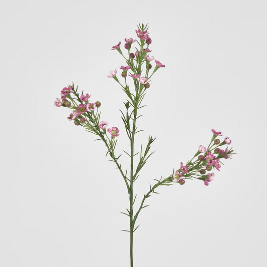 Wax Flower Dark Pink 64cm