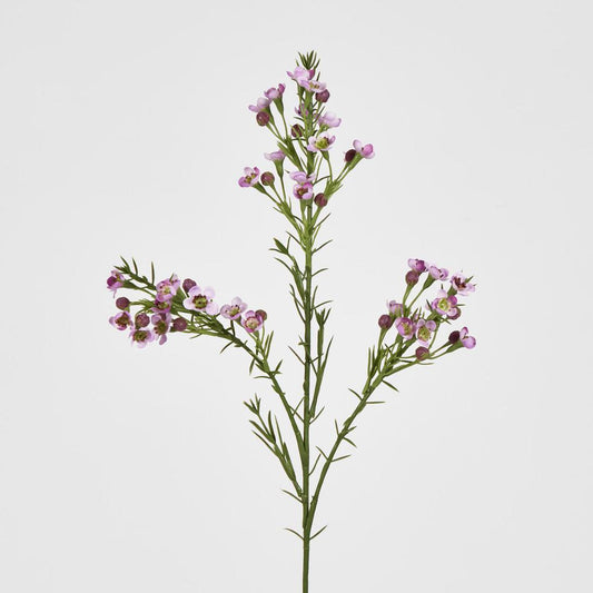 Wax Flower Lilac 64cm