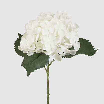 Hydrangea 62cm White