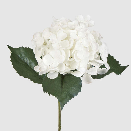 Hydrangea 62cm White