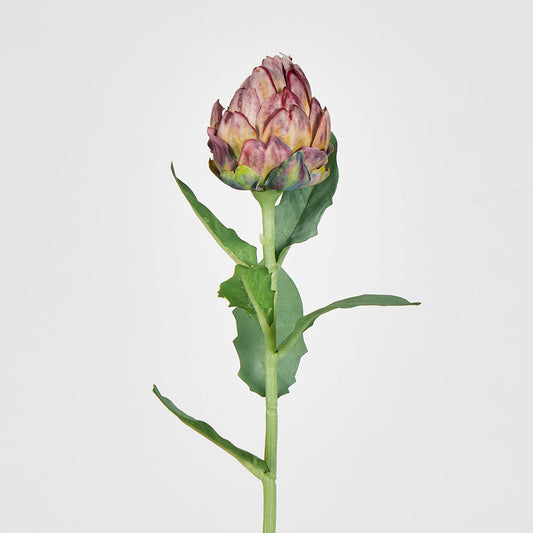 Artichoke Stem 58cm Burgundy
