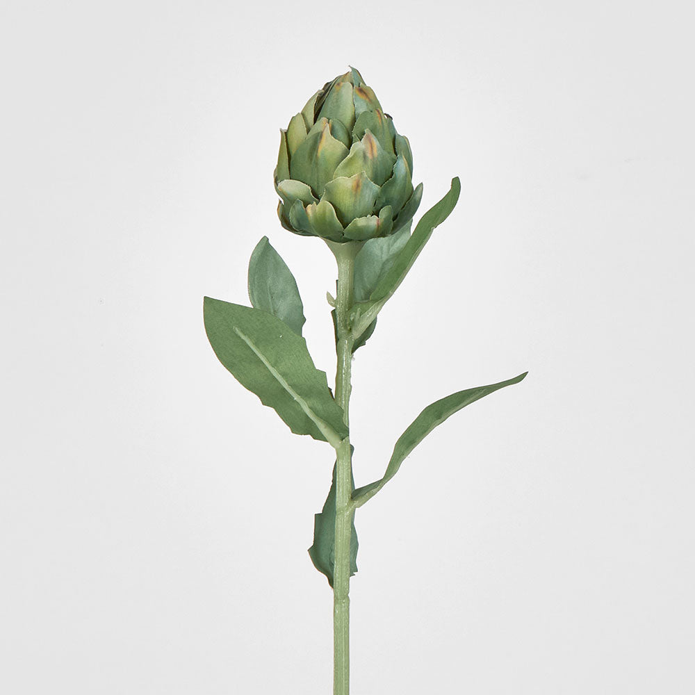 Artichoke Stem 58cm Green