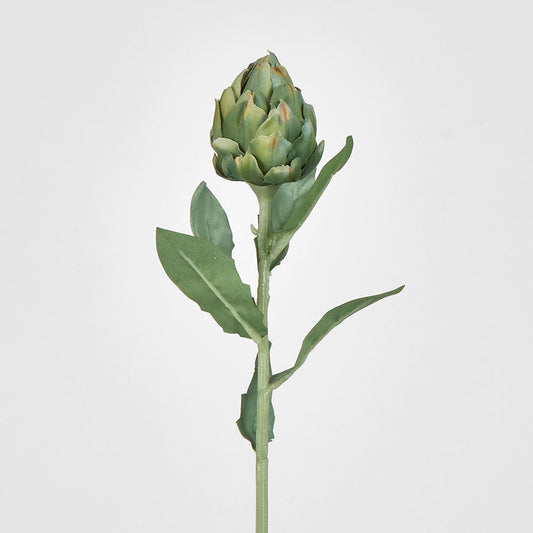 Artichoke Stem 58cm Green