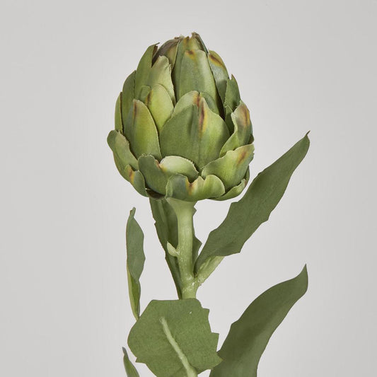 Artichoke Stem 58cm Green