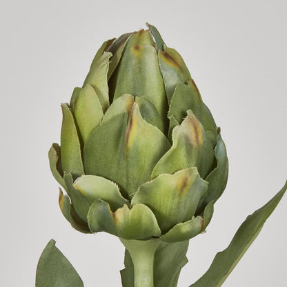 Artichoke Stem 58cm Green