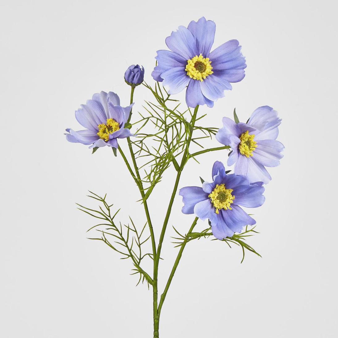 Cosmos Spray 64cm Lavender