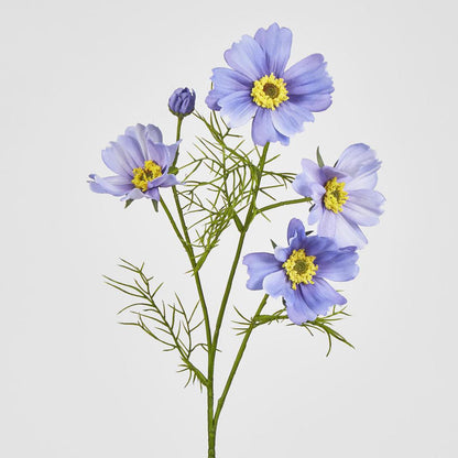Cosmos Spray 64cm Lavender
