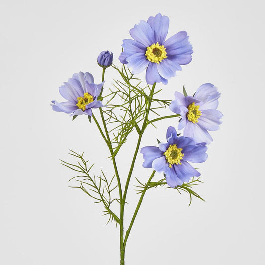 Cosmos Spray 64cm Lavender