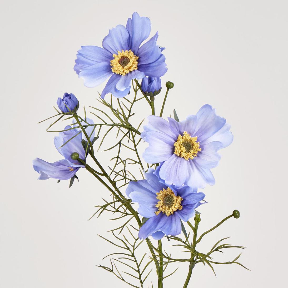 Cosmos Spray 64cm Lavender