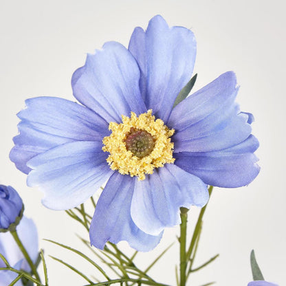 Cosmos Spray 64cm Lavender