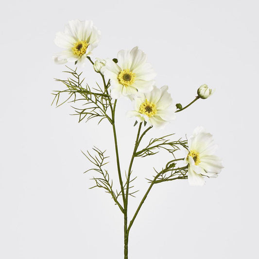 Cosmos Spray 64cm White