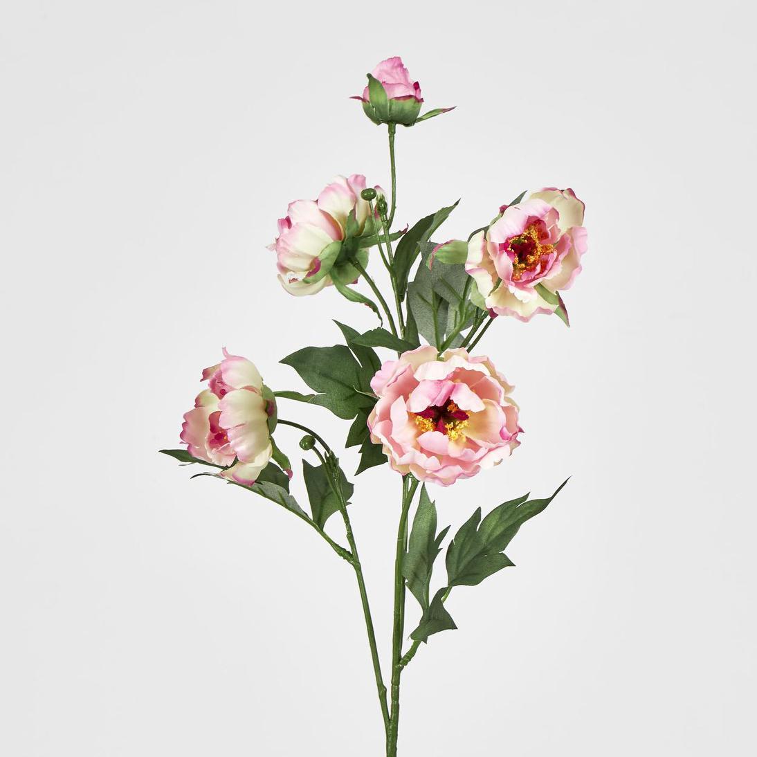 Peony Spray 64cm Pink