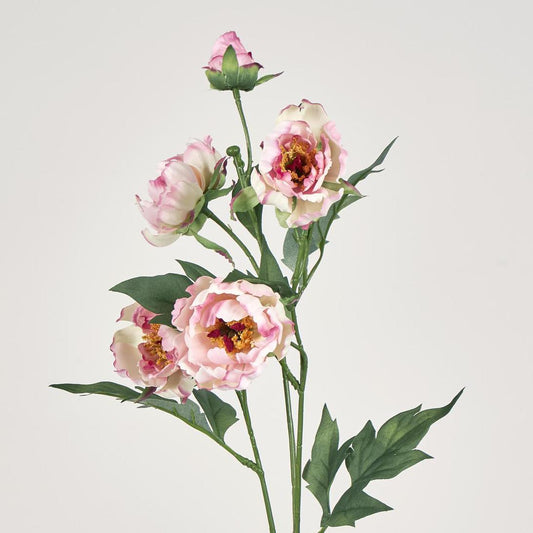 Peony Spray 64cm Pink