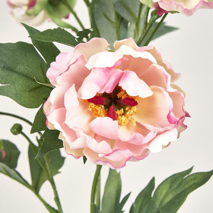 Peony Spray 64cm Pink