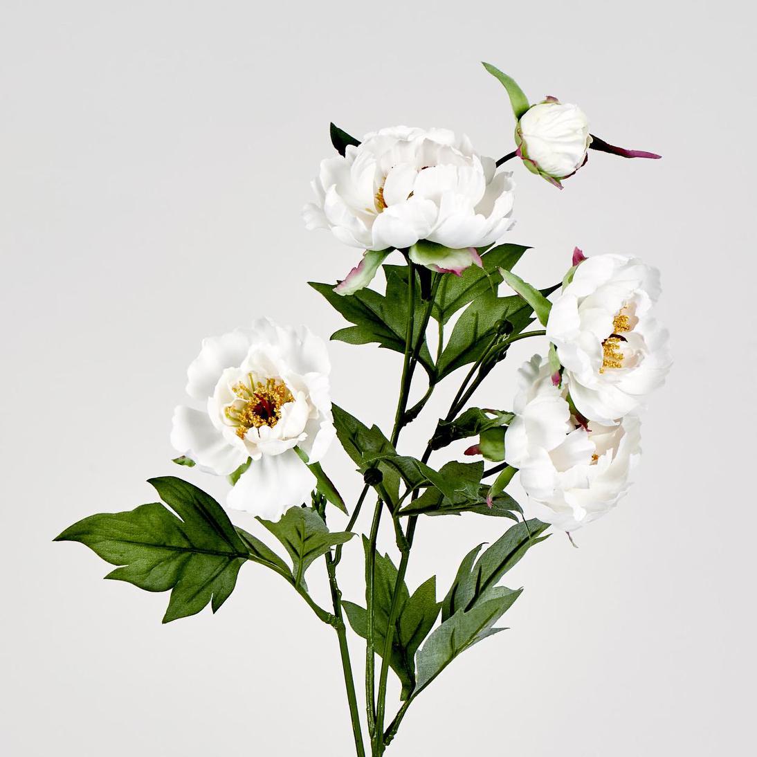 Peony Spray 64cm White
