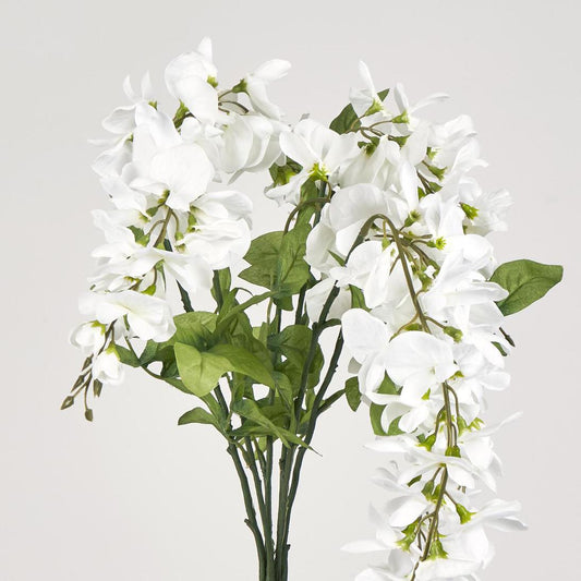 Wisteria Bush 81cm White