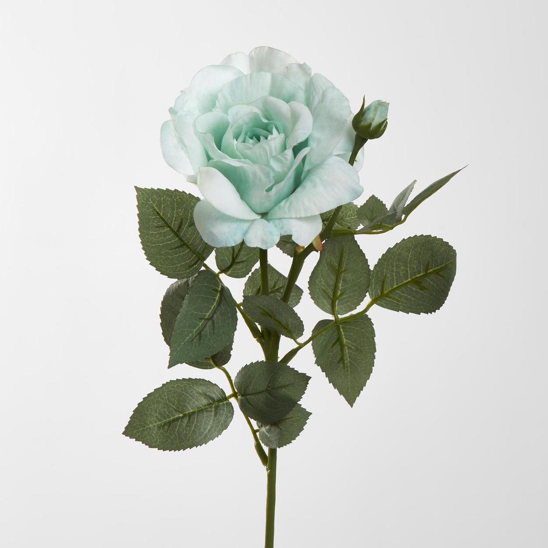 Colin Rose 64cm Green