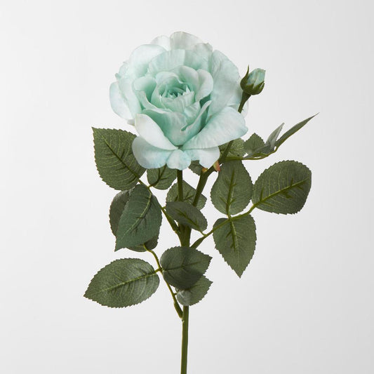 Colin Rose 64cm Green