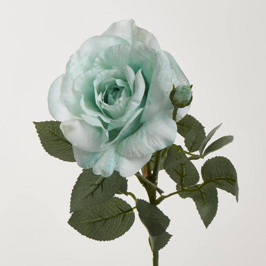 Colin Rose 64cm Green