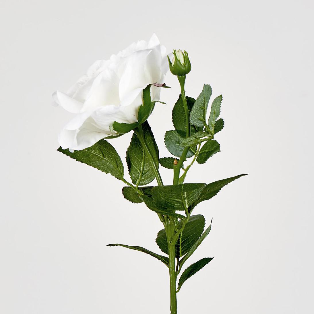 Colin Rose 64cm White
