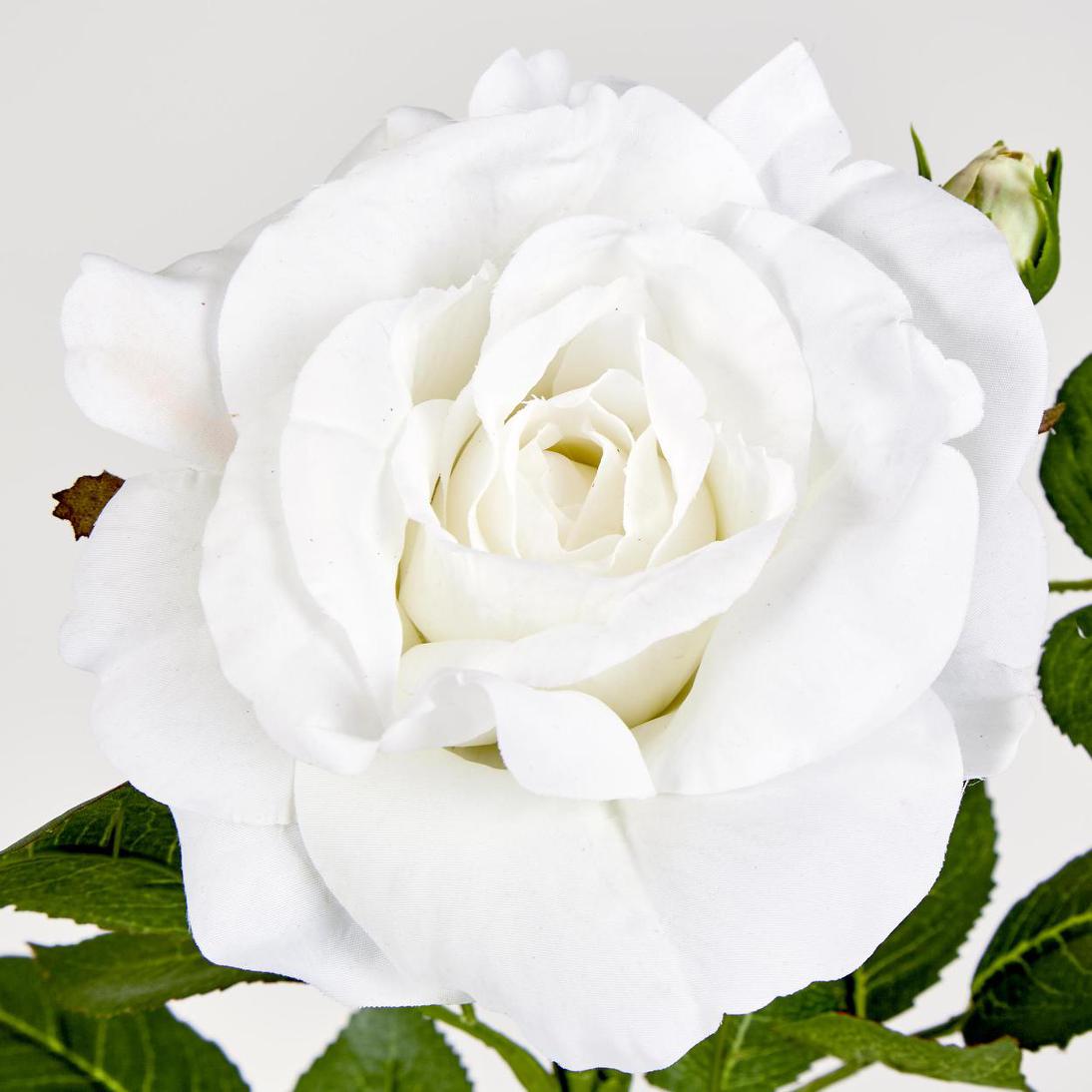 Colin Rose 64cm White