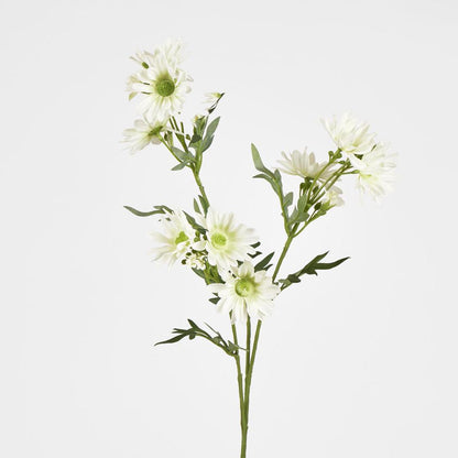 Daisy Spray 74cm White