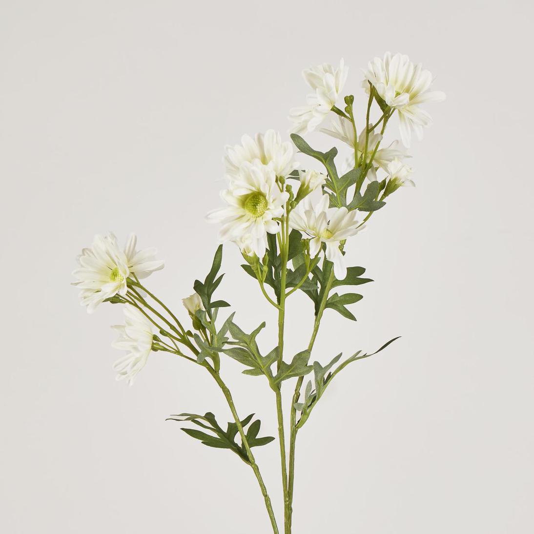 Daisy Spray 74cm White