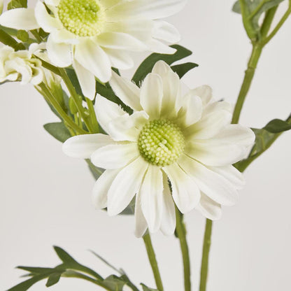 Daisy Spray 74cm White