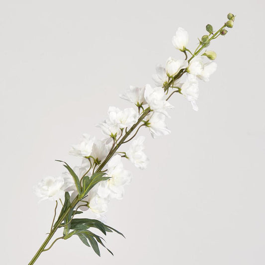Delphinium Spray 91cm White