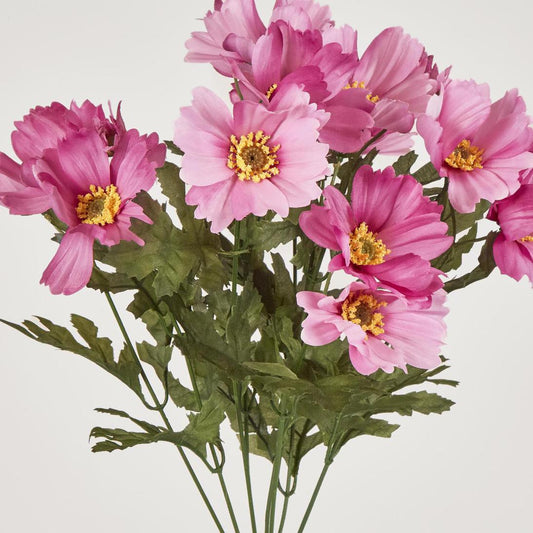 Cosmos Bush 48cm Dark Pink