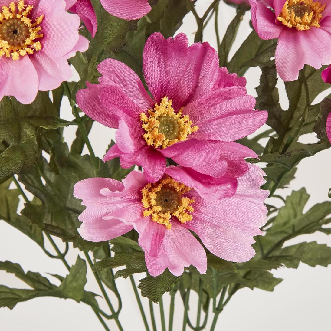 Cosmos Bush 48cm Dark Pink