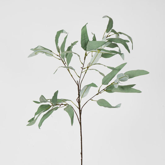 Eucalyptus Saligna Branch 98cm