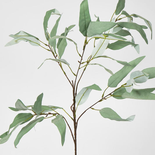 Eucalyptus Saligna Branch 98cm