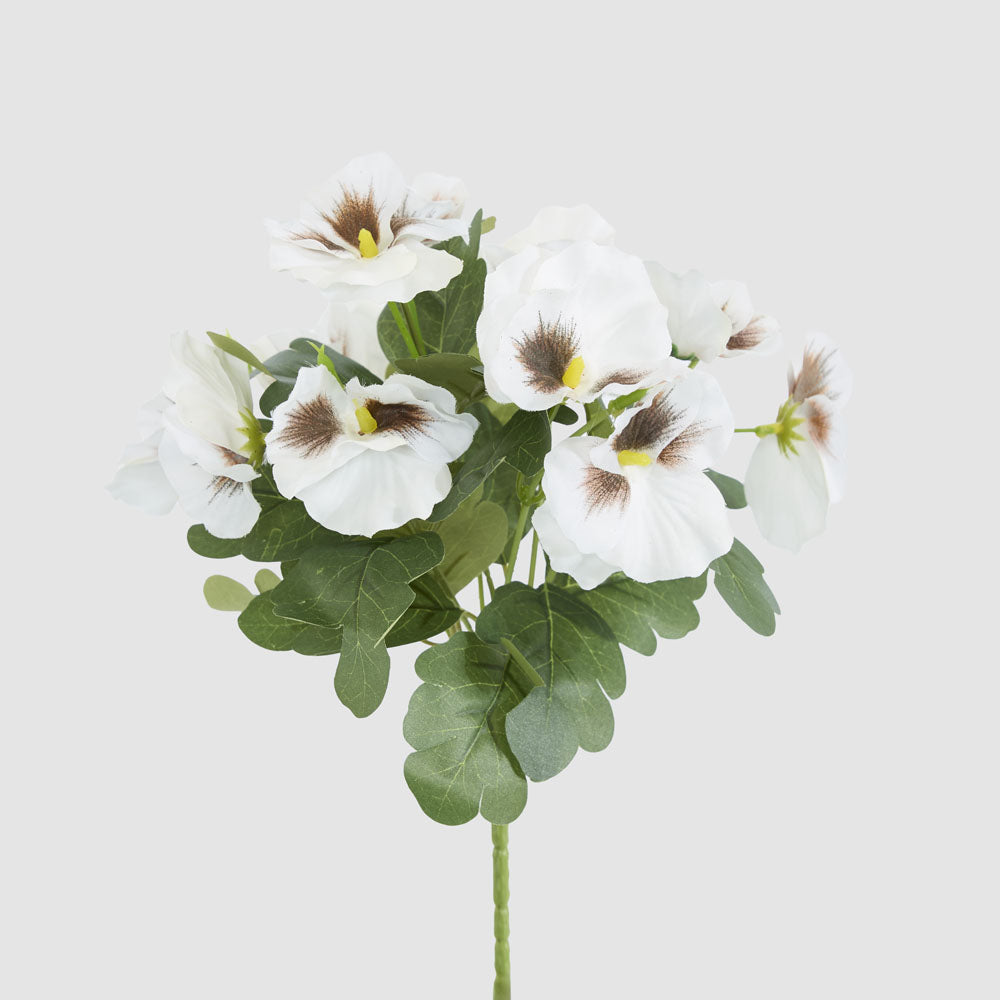 White Pansy Bush 32cm
