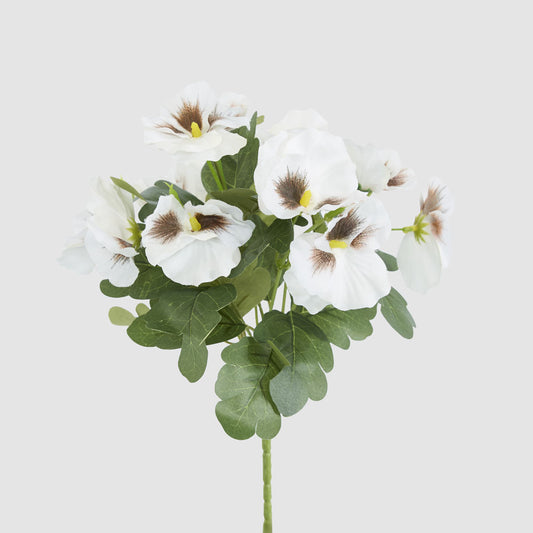 White Pansy Bush 32cm