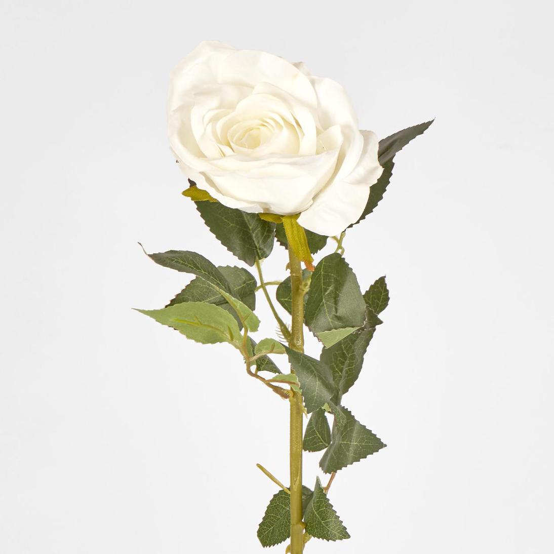 Open Rose Stem 68cm White