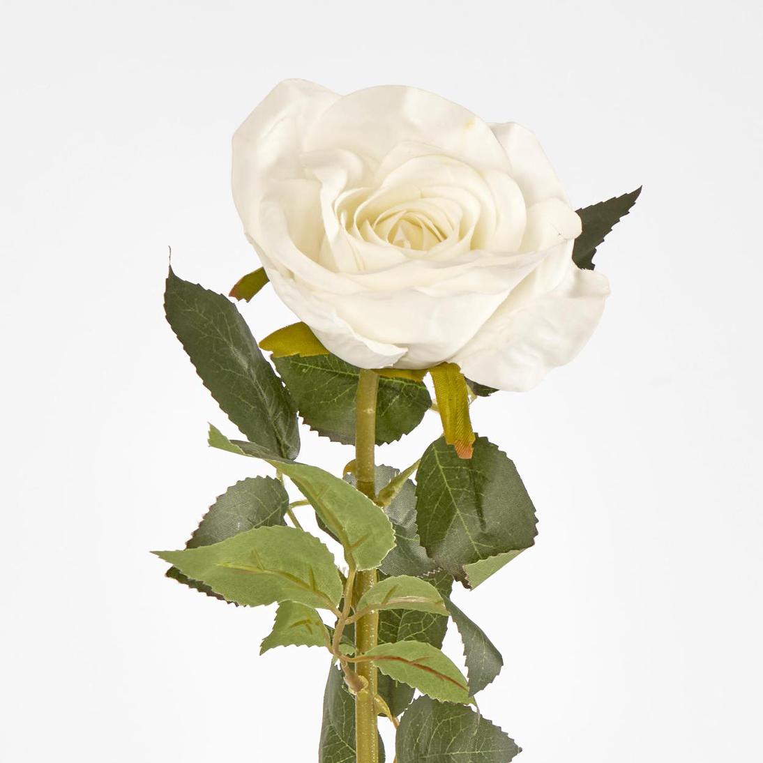 Open Rose Stem 68cm White