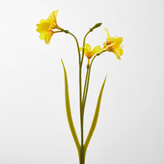 Daffodil Spray 50cm Yellow