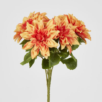 Dahlia Bush x 5 Orange