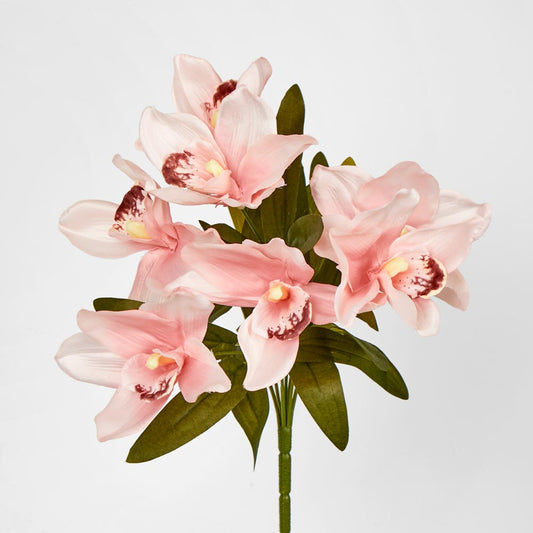 Cymbidium Bush Peach Pink