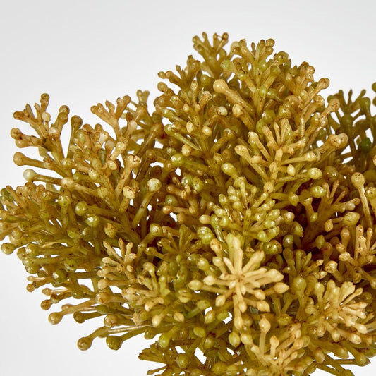 Pine Berry Bunch 20cm Green
