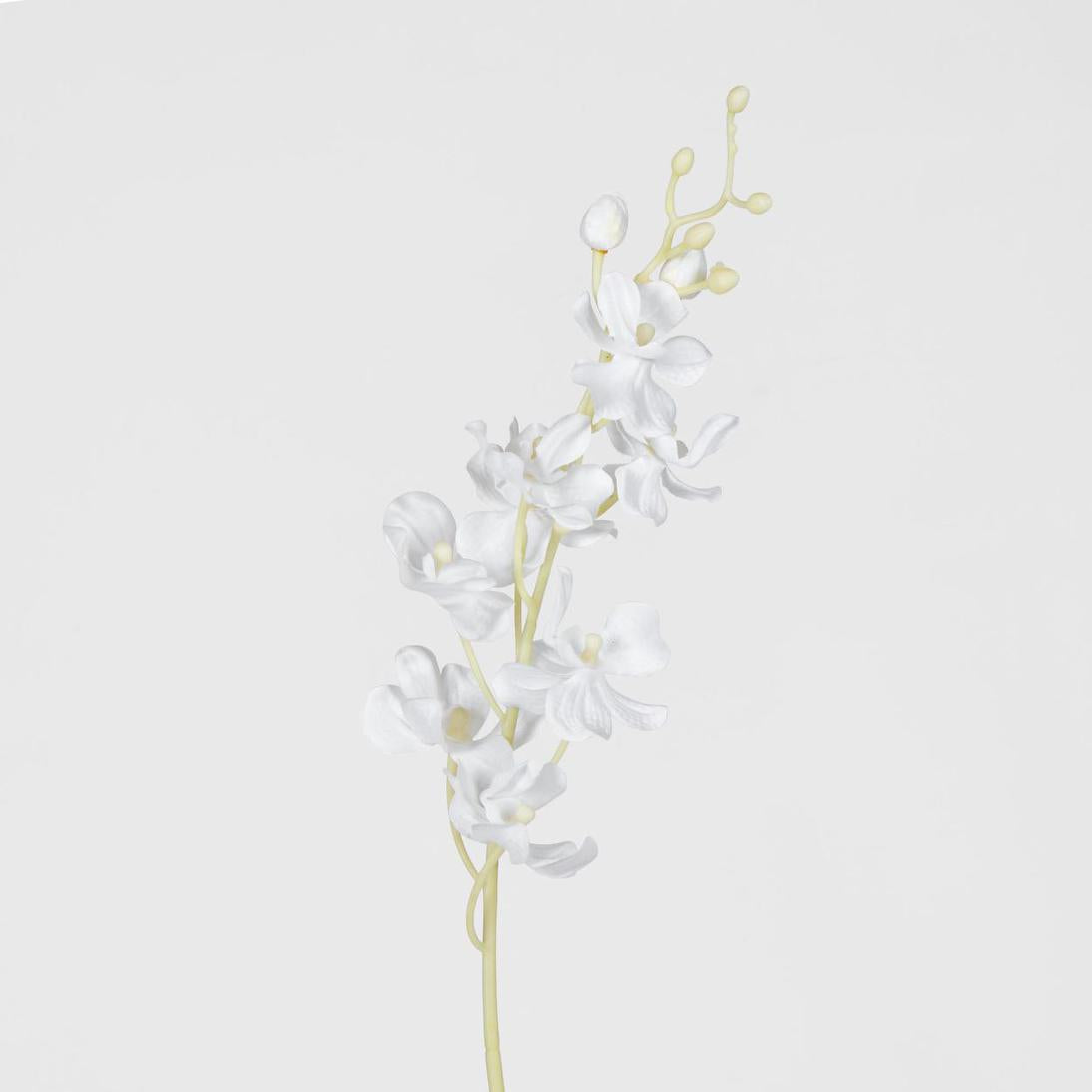 Dendrobium Orchid Spray White