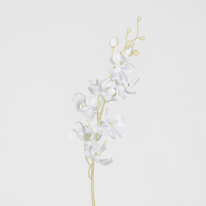 Dendrobium Orchid Spray White