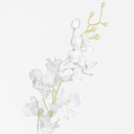 Dendrobium Orchid Spray White