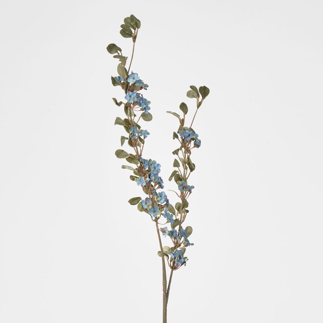 Euphorbia Spray Blue